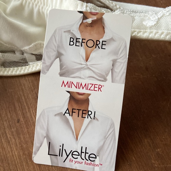 Lilyette Minimizer Underwire embroidered Bra 34 DD - Picture 6 of 6